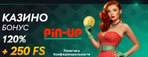 pin-up-casino-privacy-policy